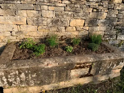 Jardin de l'établissement Gîte le cœur de Givry