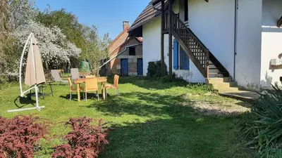 Jardin de l'établissement Gîte Chez Léo