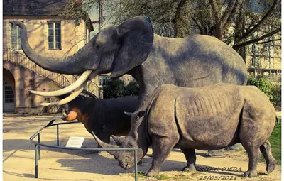 Animaux dans l'appartement ou à proximité
