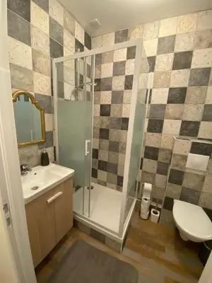 Salle de bains dans l'établissement Charmant appartement Cité international - Gastronomie & Vin - Dijon