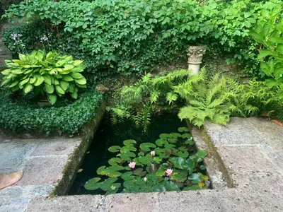 Jardin de l'établissement Ferienwohnung Jura Burgund