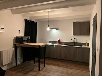 Cuisine ou kitchenette dans l'établissement charmant studio