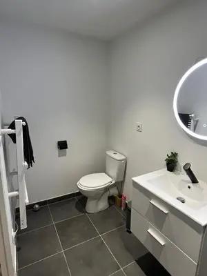 Salle de bains dans l'établissement Superbe appartement avec parking gratuit sur place