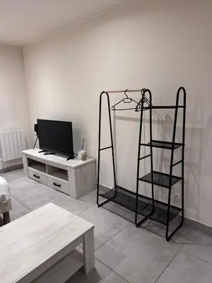 Télévision ou salle de divertissement dans l'établissement Studio en centre ville