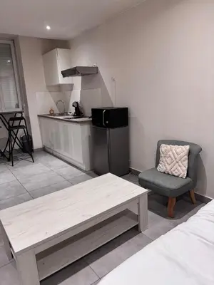 Cuisine ou kitchenette dans l'établissement Studio en centre ville