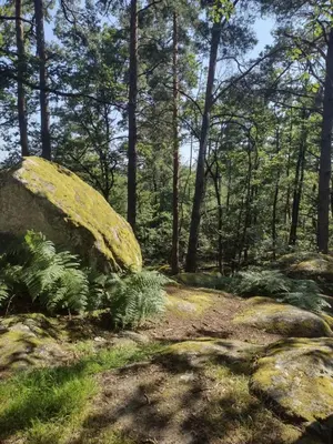 Paysage naturel près de la maison d'hôtes