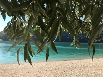 Paysage naturel près de la maison de vacances