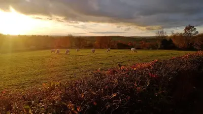 Paysage naturel près de la maison d'hôtes