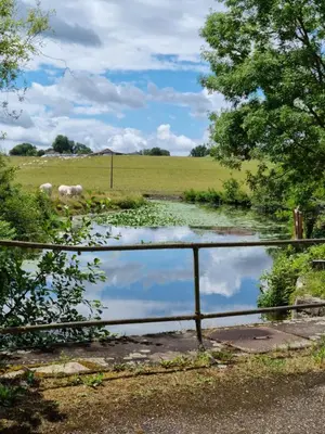 Paysage naturel près de le B&B/chambre d'hôtes