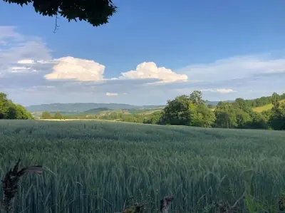 Paysage naturel près de la maison de vacances