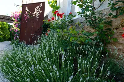 Jardin de l'établissement Au Pont Vert