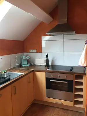 Cuisine ou kitchenette dans l'établissement Bienvenue au Faré Hibiscus