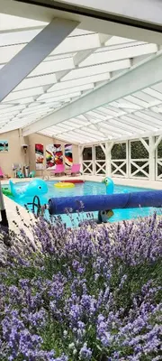 Piscine de l'établissement Bienvenue au Faré Hibiscus ou située à proximité