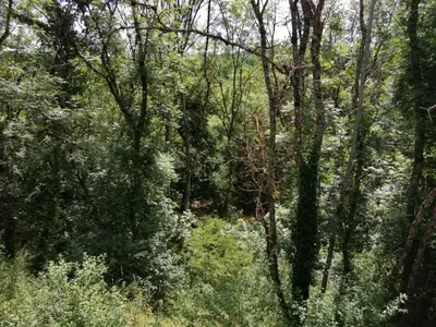 Paysage naturel près de la maison de vacances
