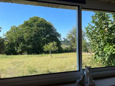 Jardin de l'établissement La petite maison d’Orphée