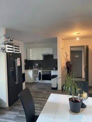 Cuisine ou kitchenette dans l'établissement Appartement RDC calme en hyper centre-ville