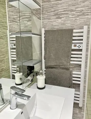 Salle de bains dans l'établissement Charmant studio au coeur du centre ville