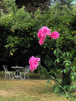 Jardin de l'établissement L'ESCALE Chambres et table d'hôtes