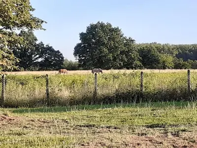 Paysage naturel près de la maison de vacances