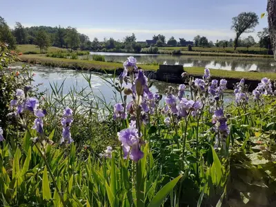 Paysage naturel près de la maison de vacances