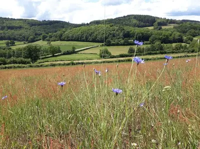 Paysage naturel près de le B&B/chambre d'hôtes