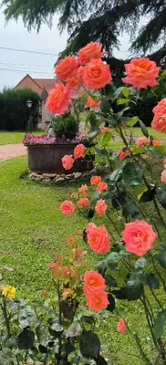 Jardin de l'établissement La Fruitière