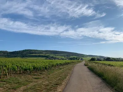 Paysage naturel près de la maison de vacances