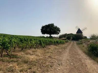 Paysage naturel près de la maison de vacances
