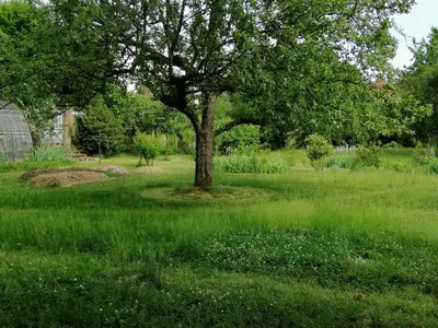 Jardin de l'établissement La Villa Romaine