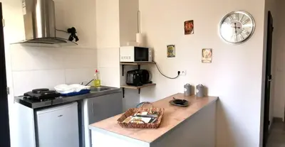 Cuisine ou kitchenette dans l'établissement Appartement en plein coeur de Mâcon H