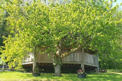 Jardin de l'établissement Chalet cocooning pleine nature
