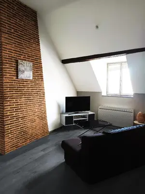 Télévision ou salle de divertissement dans l'établissement Grand Appartement chaleureux