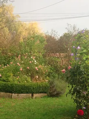 Jardin de l'établissement Marguerite's Ferme rustique