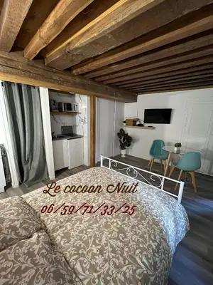 Un ou plusieurs lits dans un hébergement de l'établissement Le cocoon Nuits