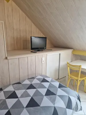 Télévision ou salle de divertissement dans l'établissement L’Atelier de la Forge L’enclume