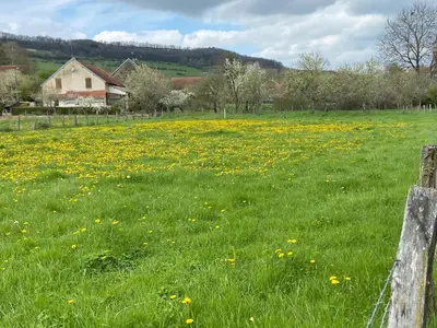 Paysage naturel près de la maison de vacances