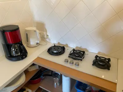 Cuisine ou kitchenette dans l'établissement Le jardin du roitelet