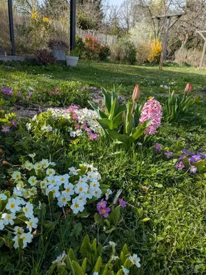 Jardin de l'établissement Chez Agnès