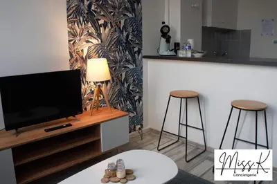 Télévision ou salle de divertissement dans l'établissement L'Héritan de Miss.K Conciergerie