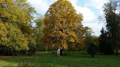 Jardin de l'établissement Le Clos- Le Pavillon