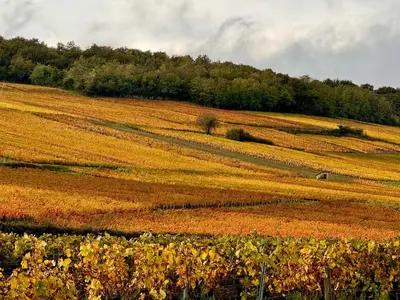 Paysage naturel près de la villa