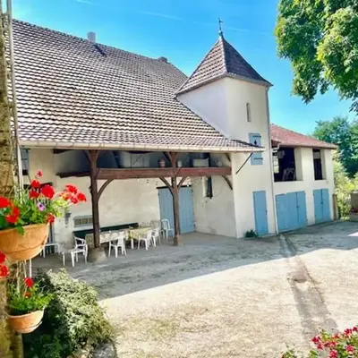 Les hirondelles