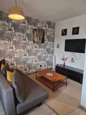 Télévision ou salle de divertissement dans l'établissement Cosy Loft - Appartement de charme