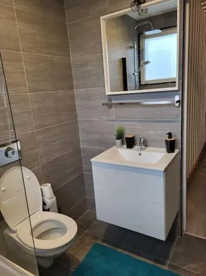 Salle de bains dans l'établissement Cosy Loft - Appartement de charme