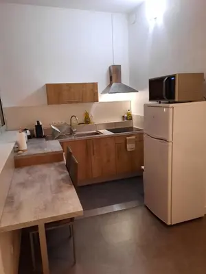 Cuisine ou kitchenette dans l'établissement Grand T1 au calme - Dijon centre