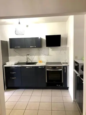Cuisine ou kitchenette dans l'établissement Appartement Eluard