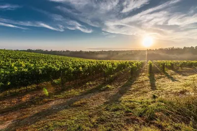 Lever ou coucher de soleil vu de la maison de vacances ou à proximité