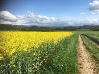 Paysage naturel près de l'appartement