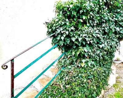 Jardin de l'établissement Gîte de campagne Gaspard