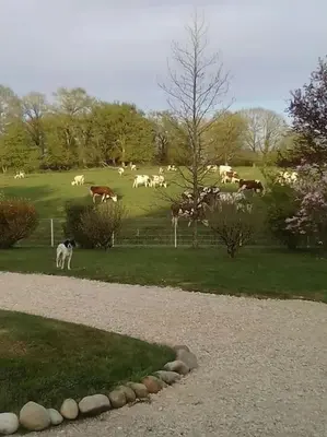 Jardin de l'établissement Dépendance pour 1 à 4 pers au calme dans propriété